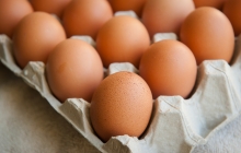 Erneut Salmonellen in Eiern