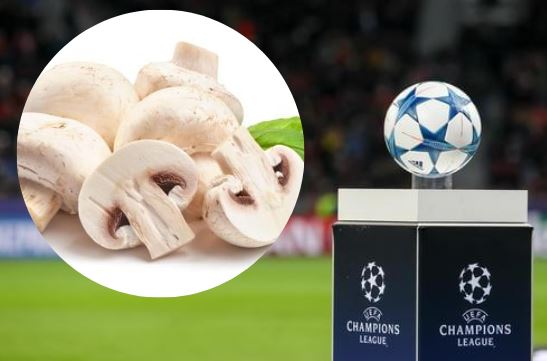 Champignons League vs. Champions League Was hat Lebensmittelkennzeichnung mit Fußball zu tun?