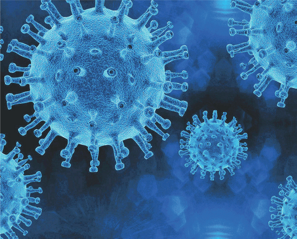 Aktualisierte FAQ`s zum Coronavirus des BfR von 17.04.2020