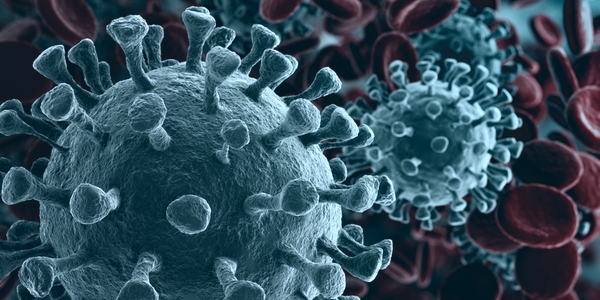 Coronavirus SARS-CoV-2 und Erkrankung COVID-19: Weitere Informationen für Lebensmittelunternehmen Coronavirus SARS-CoV-2 und Erkrankung COVID-19: Weitere Informationen für Lebensmittelunternehmen