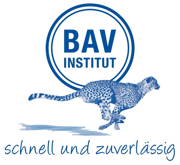 BAV Steckbrief 2019