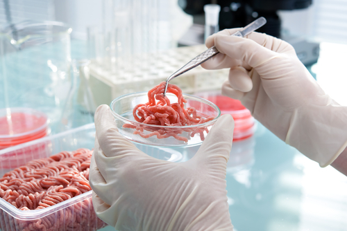 BVL untersucht Deklaration von Tierarten in Fleischerzeugnissen BVL untersucht Deklaration von Tierarten in Fleischerzeugnissen