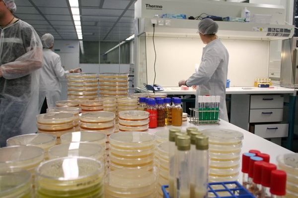 Ministerium in Baden-Württemberg informiert über Untersuchungen zu Listerien 