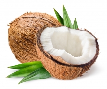 Unsichtbarer Verderb bei Kokosnüssen 