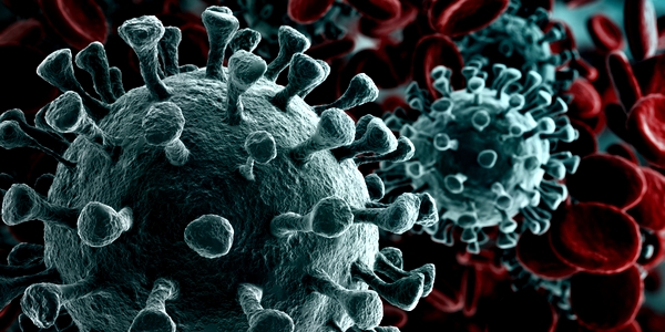 Coronavirus kein lebensmittelhygienisches Problem