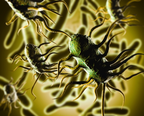 BAV Institut führend in der Untersuchung von Listerien und Listeria monocytogenes BAV Institut führend in der Untersuchung von Listerien und Listeria monocytogenes