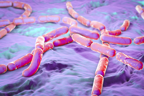 Tiefkühlkräuter im Ökotest – Befund von Bacillus cereus und Pyrrolizidinalkaloide (PA) Tiefkühlkräuter im Ökotest – Befund von Bacillus cereus und Pyrrolizidinalkaloide (PA)