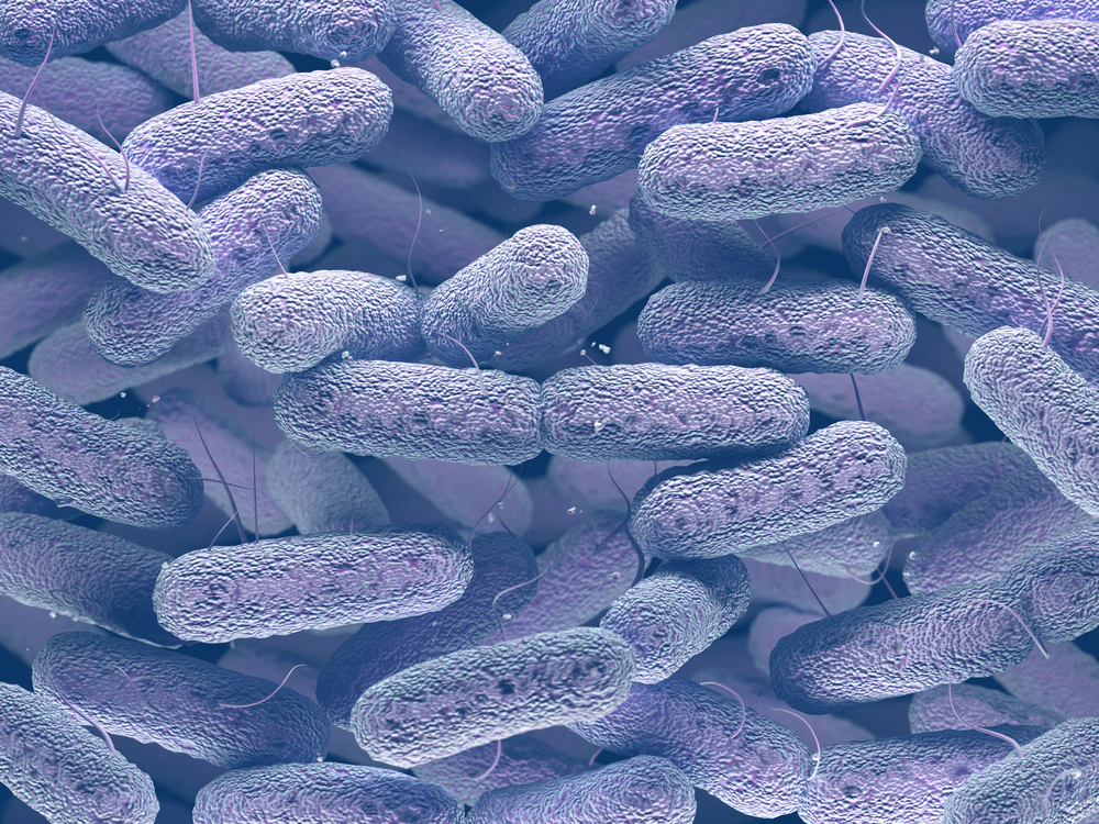 Gastbeitrag „Microorganisms in cosmetics and raw materials“ im Magazin EURO COSMETICS Gastbeitrag „Microorganisms in cosmetics and raw materials“ im Magazin EURO COSMETICS