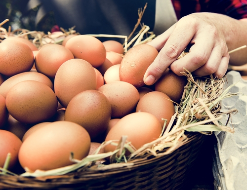 Länderübergreifender Ausbruch von Salmonella Enteritidis im Zusammenhang mit Eiern