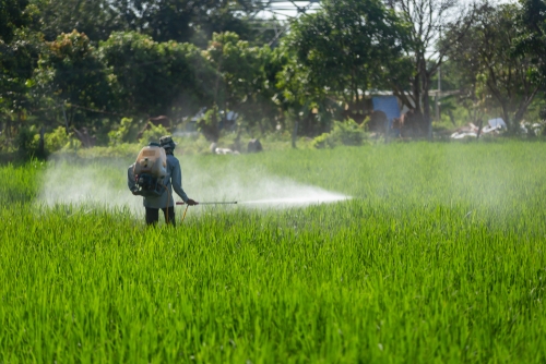 Einführung von Grenzwerten für Chlorat in Lebensmitteln