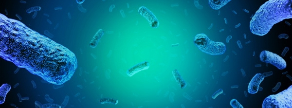Gesundheitsschädliche Listeria monocytogenes in Lachsschinken nachgewiesen - Produktrückruf