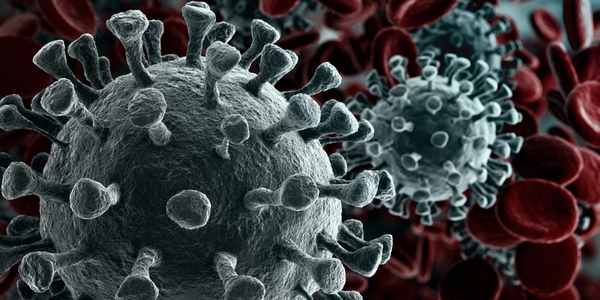 BfR veröffentlicht Fragen- und Antwortenkatalog zu Infektionswegen mit dem neuartigen Coronavirus