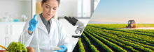 Seminar: Rückstandsanalytik – Pestizide und Kontaminanten bei der Bilacon GmBH