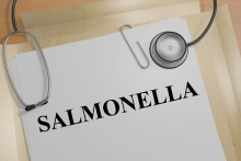 Salmonellosis no longer declining!