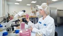 Immer häufiger Rückrufe wegen Listeria monocytogenes Immer häufiger Rückrufe wegen Listeria monocytogenes