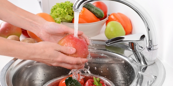 Alle Shiga-Toxin-produzierenden Escherichia coli (STEC) -Subtypen sind pathogen Alle Shiga-Toxin-produzierenden Escherichia coli (STEC) -Subtypen sind pathogen