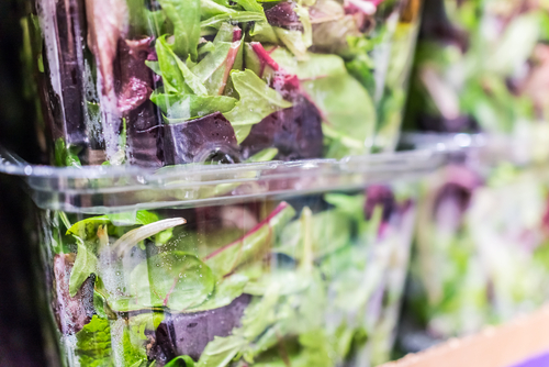 Salate in Fertigpackungen häufig mit Krankheitskeimen wie Bacillus cereus, Shiga-Toxin-bildende E. coli und Listeria monocytogenes belastet