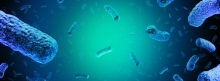 ALTS Beschluss zum Lebensmittelsicherheitskriterium Listeria monocytogenes in tiefgefrorenem Gemüse ALTS Beschluss zum Lebensmittelsicherheitskriterium Listeria monocytogenes in tiefgefrorenem Gemüse