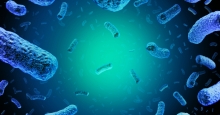 Welche Bedeutung haben Listeria monocytogenes in Lebensmitteln?