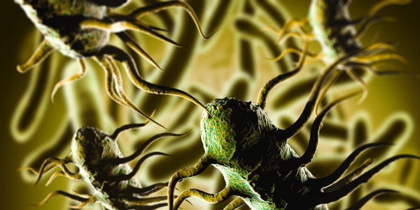 NEU „TentaSpeed L. mono“: Listeria spp. und Listeria monocytogenes in Lebensmitteln in 6h nachweisen! NEU „TentaSpeed L. mono“: Listeria spp. und Listeria monocytogenes in Lebensmitteln in 6h nachweisen!