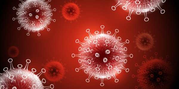 Übertragung des Coronavirus über Lebensmittel- Aktualisierte FAQs des BfR