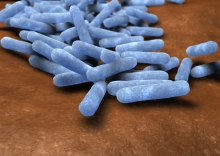 Untersuchung auf Escherichia coli in Kosmetika und Arzneimitteln sowie Informationen für den Praktiker