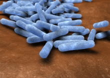 Untersuchung auf Escherichia coli in Kosmetika und Arzneimitteln sowie Informationen für den Praktiker Untersuchung auf Escherichia coli in Kosmetika und Arzneimitteln sowie Informationen für den Praktiker