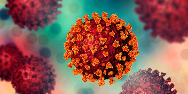 Coronavirus überlebt auf Oberflächen bis zu 28 Tagen Coronavirus überlebt auf Oberflächen bis zu 28 Tagen
