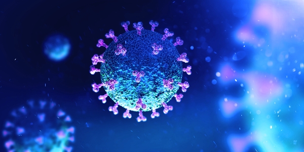 ICMSF opinion on SARS-CoV-2 in relation to food ICMSF opinion on SARS-CoV-2 in relation to food