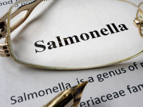 Salmonellenausbruch im Jahr 2023 in 16 Ländern Salmonellenausbruch im Jahr 2023 in 16 Ländern
