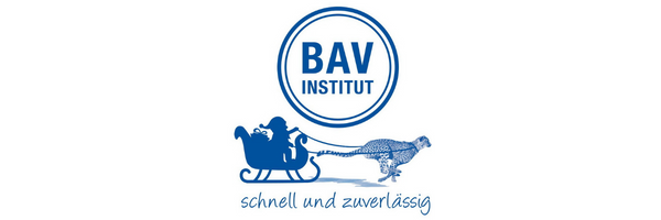 Das BAV Institut wünscht frohe Weihnachten