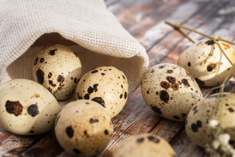 Recall: Salmonella in Quail Eggs Recall: Salmonella in Quail Eggs