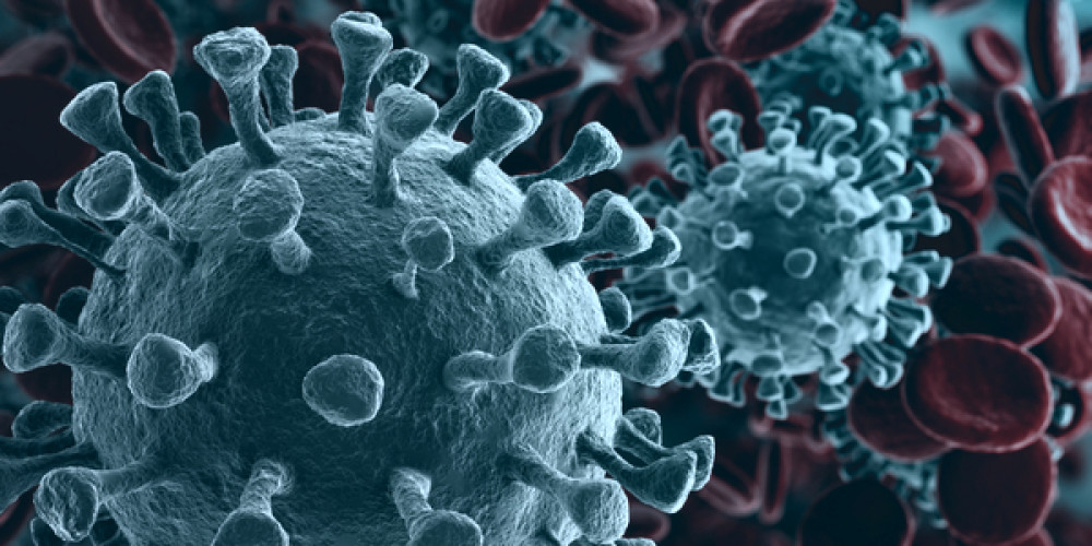 Coronavirus SARS-CoV-2 und Erkrankung COVID-19: Weitere Informationen für Lebensmittelunternehmen Coronavirus SARS-CoV-2 und Erkrankung COVID-19: Weitere Informationen für Lebensmittelunternehmen
