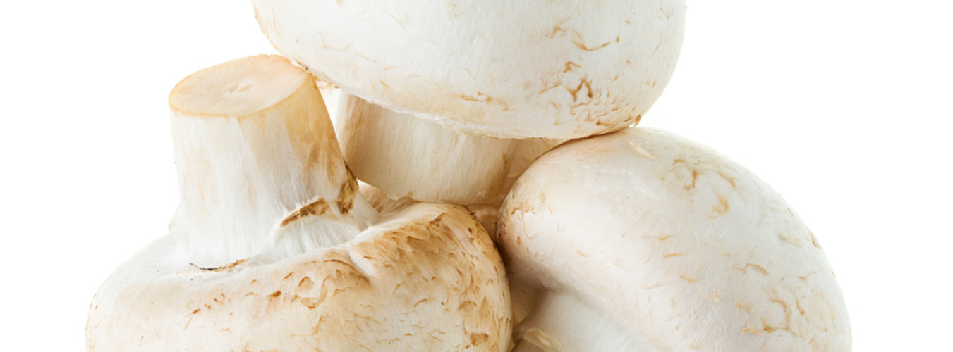 KWG Rechtsanwälte: Der Europäische Gerichtshof klärt Angabe des Ursprungslandes von „Kulturchampignons“ KWG Rechtsanwälte: Der Europäische Gerichtshof klärt Angabe des Ursprungslandes von „Kulturchampignons“