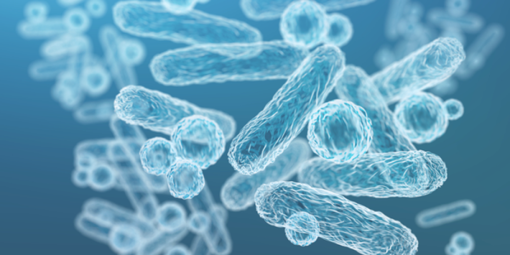Cosmetic products for external use should no longer contain Pluralibacter gergoviae - Updated statement of the BfR Cosmetic products for external use should no longer contain Pluralibacter gergoviae - Updated statement of the BfR