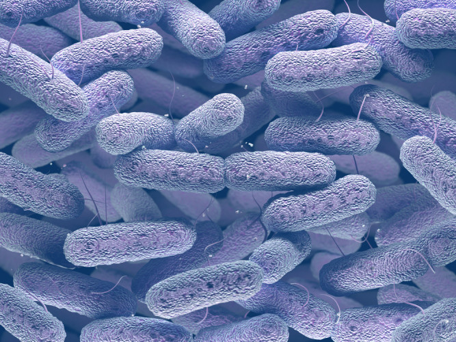 Gastbeitrag „Microorganisms in cosmetics and raw materials“ im Magazin EURO COSMETICS Gastbeitrag „Microorganisms in cosmetics and raw materials“ im Magazin EURO COSMETICS