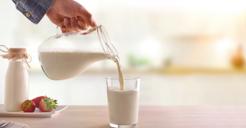 Nach Aeromonas hydrophilia, nun auch Rückruf von Milch, wegen Bacillus cereus Nach Aeromonas hydrophilia, nun auch Rückruf von Milch, wegen Bacillus cereus