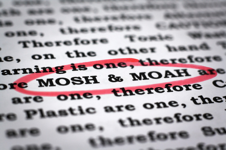 BLL/LAV: Publication of MOH guideline values in English BLL/LAV: Publication of MOH guideline values in English