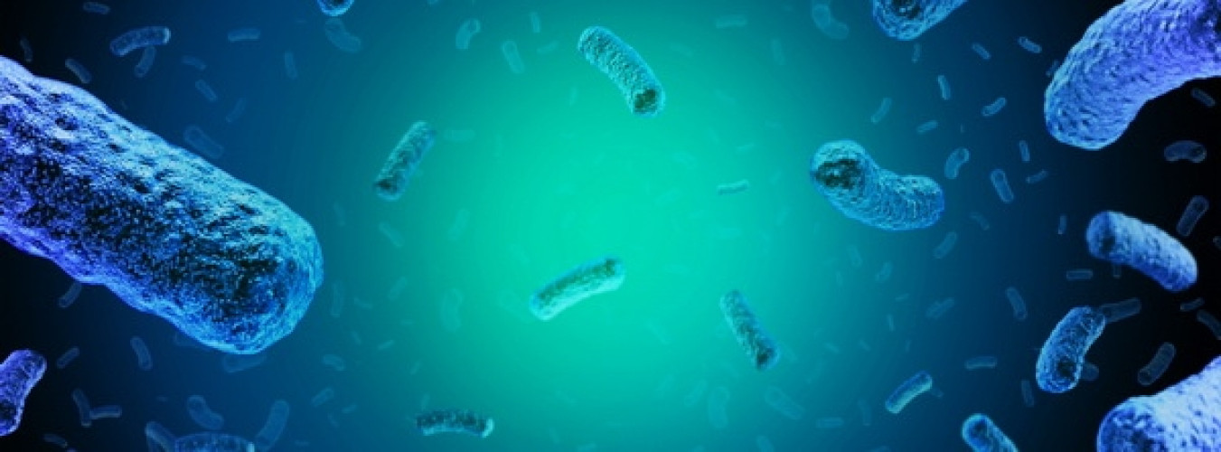 Gesundheitsschädliche Listeria monocytogenes in Lachsschinken nachgewiesen - Produktrückruf Gesundheitsschädliche Listeria monocytogenes in Lachsschinken nachgewiesen - Produktrückruf