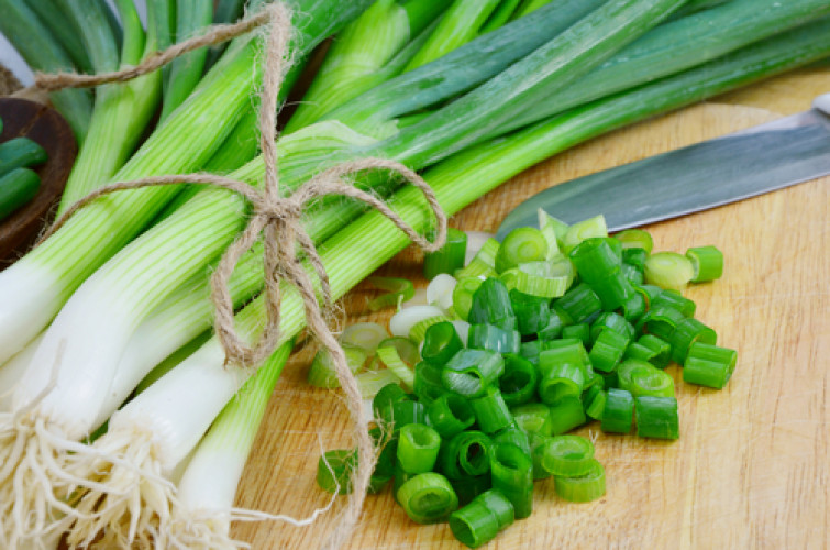 Ausbruch von enteroinvasiven E.coli (EIEC) Infektionen nach Verzehr von Frühlingszwiebeln Ausbruch von enteroinvasiven E.coli (EIEC) Infektionen nach Verzehr von Frühlingszwiebeln