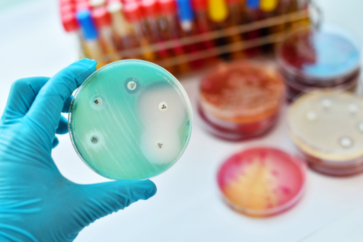 Hohe Antibiotika-Resistenzen bei Salmonellen und Campylobacter Hohe Antibiotika-Resistenzen bei Salmonellen und Campylobacter