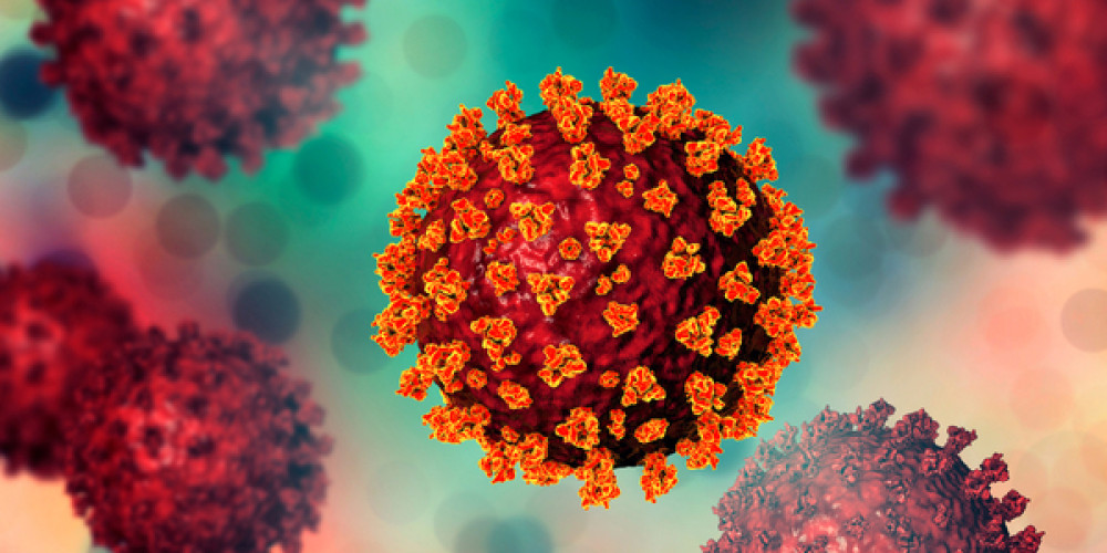 Coronavirus survives on common surfaces up to 28 days Coronavirus survives on common surfaces up to 28 days