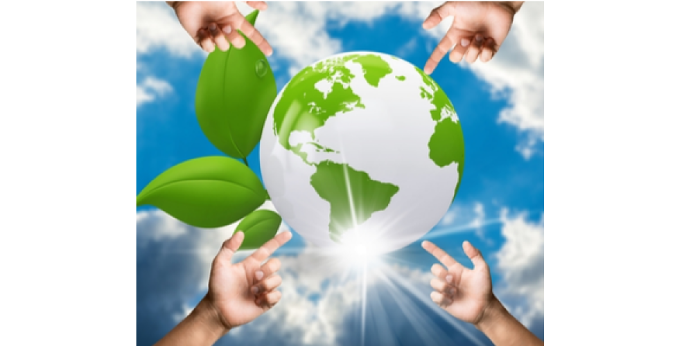New study on sustainability in food and cosmetics purchasing New study on sustainability in food and cosmetics purchasing