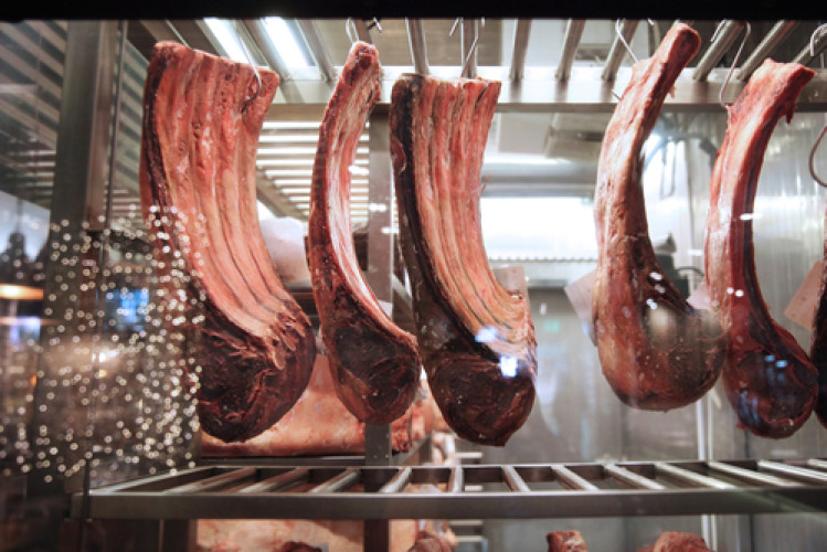 Gereiftes Fleisch ist aus mikrobiologischer Sicht nicht bedenklicher als frisches Fleisch Gereiftes Fleisch ist aus mikrobiologischer Sicht nicht bedenklicher als frisches Fleisch