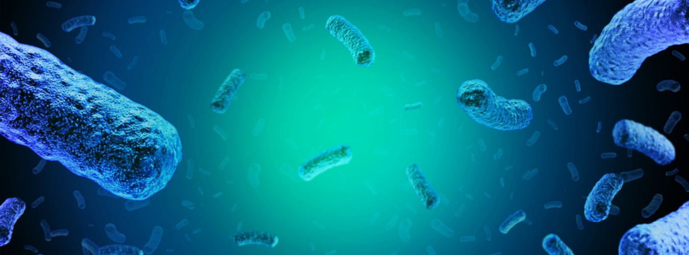 ALTS Beschluss zum Lebensmittelsicherheitskriterium Listeria monocytogenes in tiefgefrorenem Gemüse ALTS Beschluss zum Lebensmittelsicherheitskriterium Listeria monocytogenes in tiefgefrorenem Gemüse