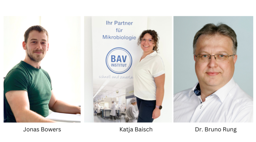 Team Leader in the Customer Consulting Department at BAV Institute Team Leader in the Customer Consulting Department at BAV Institute