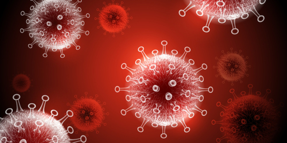 Übertragung des Coronavirus über Lebensmittel- Aktualisierte FAQs des BfR Übertragung des Coronavirus über Lebensmittel- Aktualisierte FAQs des BfR