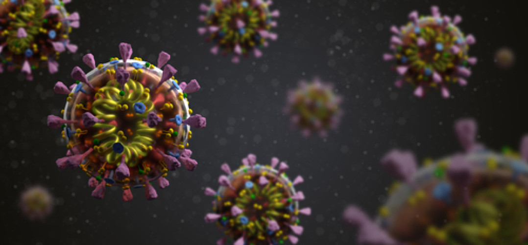 China: Corona-Virus (SARS-CoV-2) auf Früchten China: Corona-Virus (SARS-CoV-2) auf Früchten