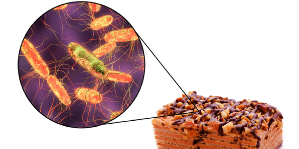 Robert-Koch-Institut informiert über lebensmittelbedingte Ausbrüche hervorgerufen durch Campylobacter, Salmonellen, Listeria monocytogenes, EHEC & Co. Robert-Koch-Institut informiert über lebensmittelbedingte Ausbrüche hervorgerufen durch Campylobacter, Salmonellen, Listeria monocytogenes, EHEC & Co.