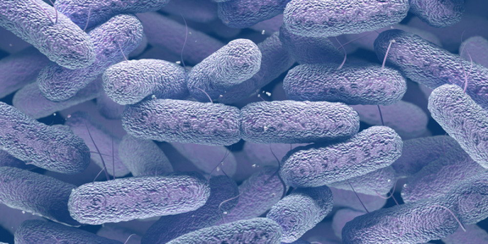 Pluralibacter gergoviae in Kosmetikprodukten Pluralibacter gergoviae in Kosmetikprodukten